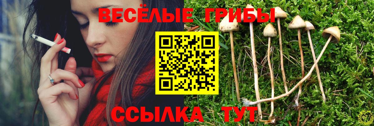 Псилоцибиновые грибы прущие грибы  Псилоцибиновые грибы GOLDEN TEACHER  Вход с VPN  Дзержинск 