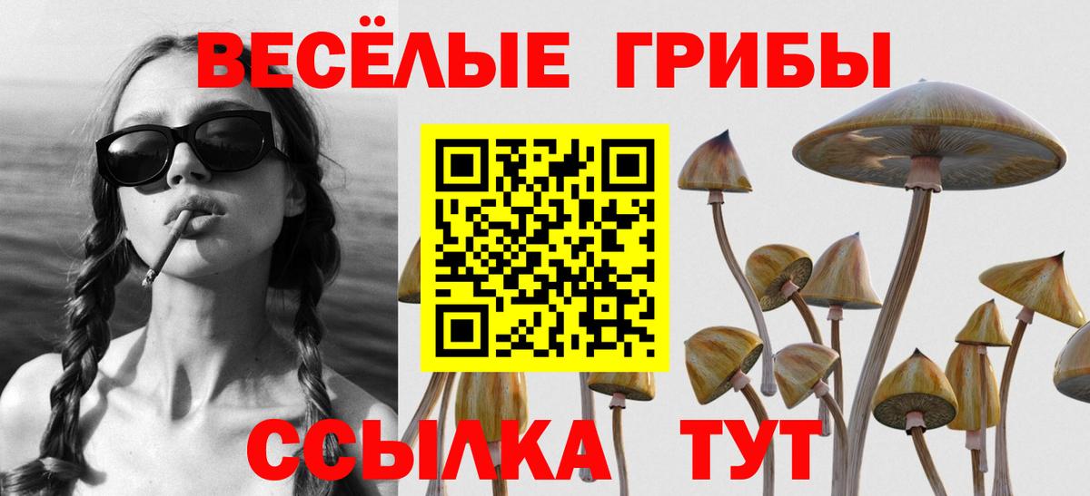 Псилоцибиновые грибы мицелий Дзержинск